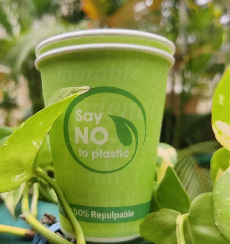 250Ml Eco Friendly Disposable Paper Cup