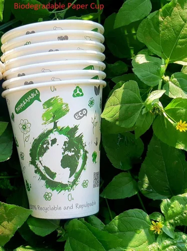 180ml Eco Friendly Disposable Paper Cup