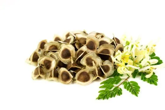 Dried Brown Organic Moringa Seeds, 1 KG