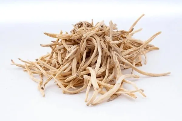 Safed Musli Herb - Traditional Ayurvedic Medicine