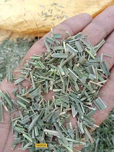 Green Lemongrass Leaves Dry