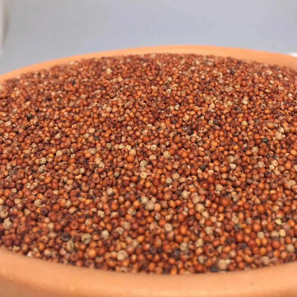 Indian Organic Ragi Rava, For Cooking, Packaging Size: Loose