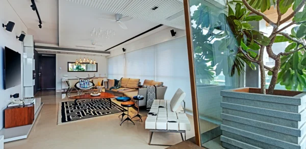 AVN Interiors