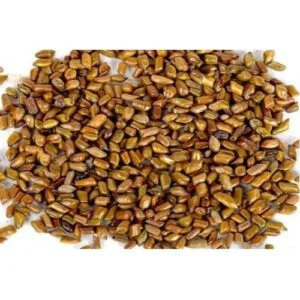 Cassia Tora Seeds - Puwad - Fuwad