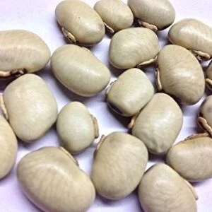 Kaunch Seeds White - Mucuna Pruriens - Nasukunni