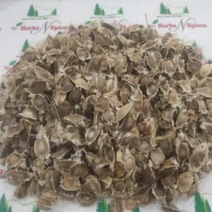 Moringa Seeds - Drumstick Seeds - Sahajana - Sahijan