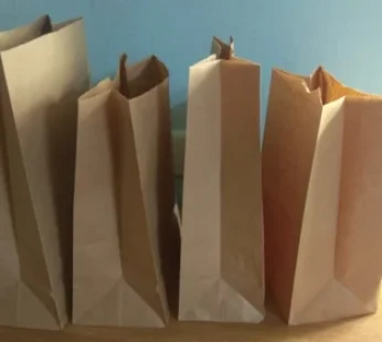 Plain Paper Grocery Bag