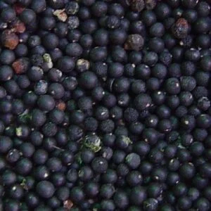 Shatavari Seeds (Yellow & White)