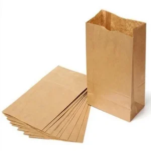 Plain Paper Bag