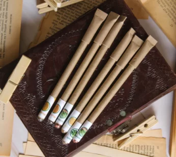Recycled Paper with Seeds Paper Pens | Set of 10