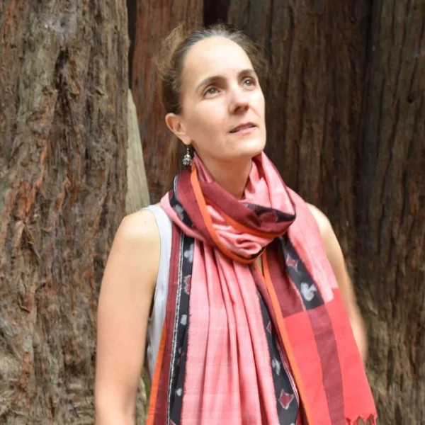 Taash Red Ikat Stole - Image 3