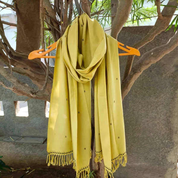 Burst of Lime Stole