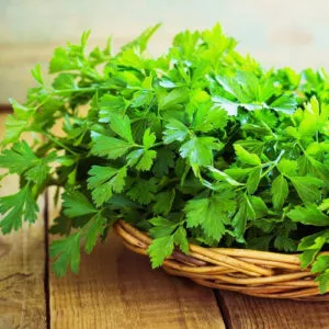 Parsley Seeds (10 seeds)