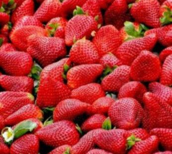 Strawberry Seeds (5 Seeds)