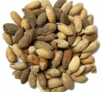 Neem Seeds (3 Seeds)