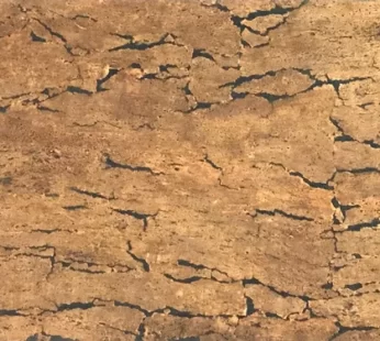 Cork Wall Covering 5102 Tile