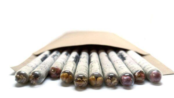 Eco Friendly Pencils - Image 2