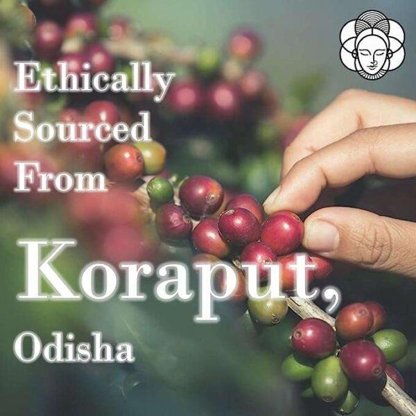 Kruti Coffee - Select Farm Naturals ( 100% Arabica Coffee Beans, Medium Roast, 250 Gm) - Image 3