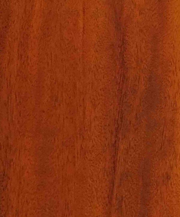 Cinnamon Cocoa - Image 2