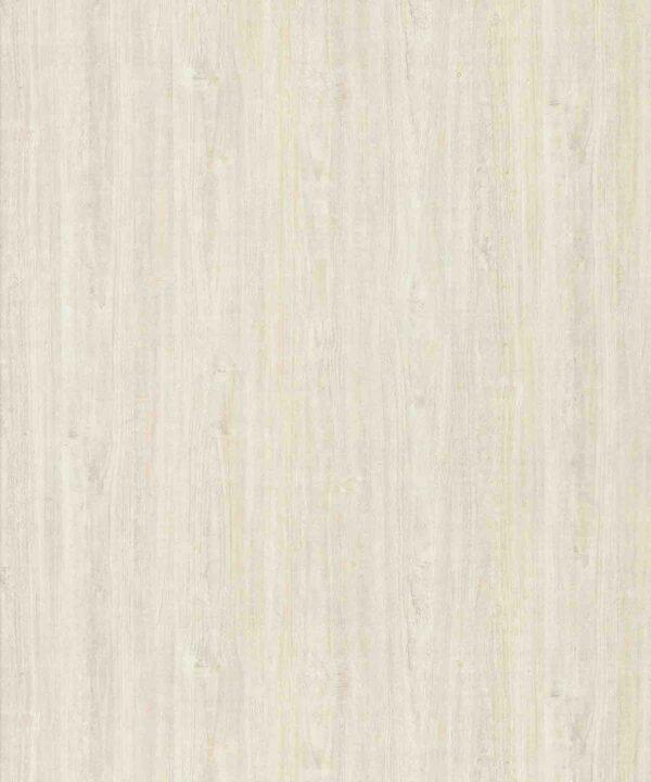 SILKWOOD ALMOND - Image 2