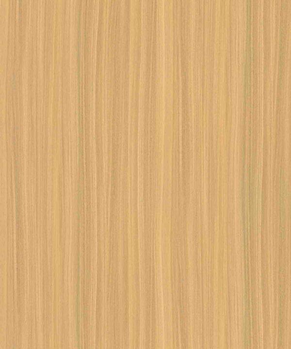 SPANISH CEDAR - Image 2