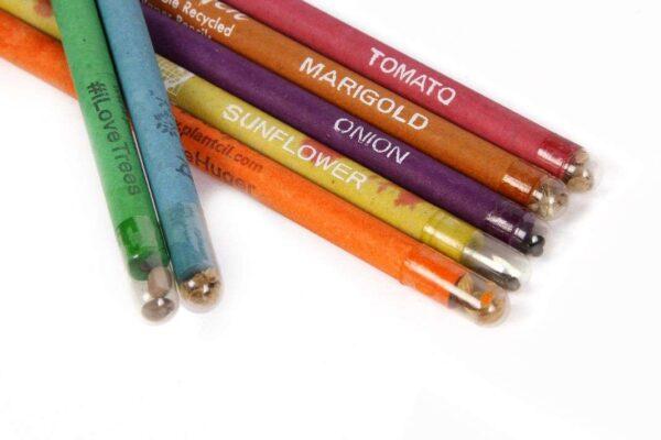 Ecome Seed Pencils - Image 3