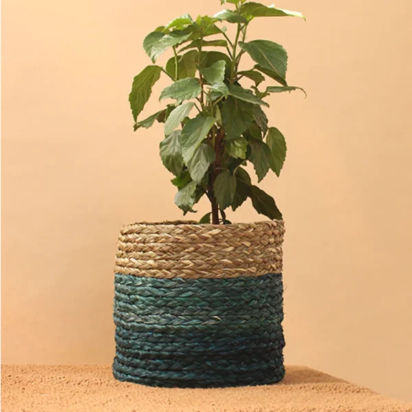 Handwoevn Sabai Grass Planter - Image 3