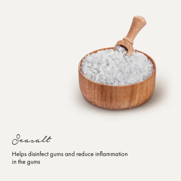 botanical sea salt and spearmint toothpaste - Image 3