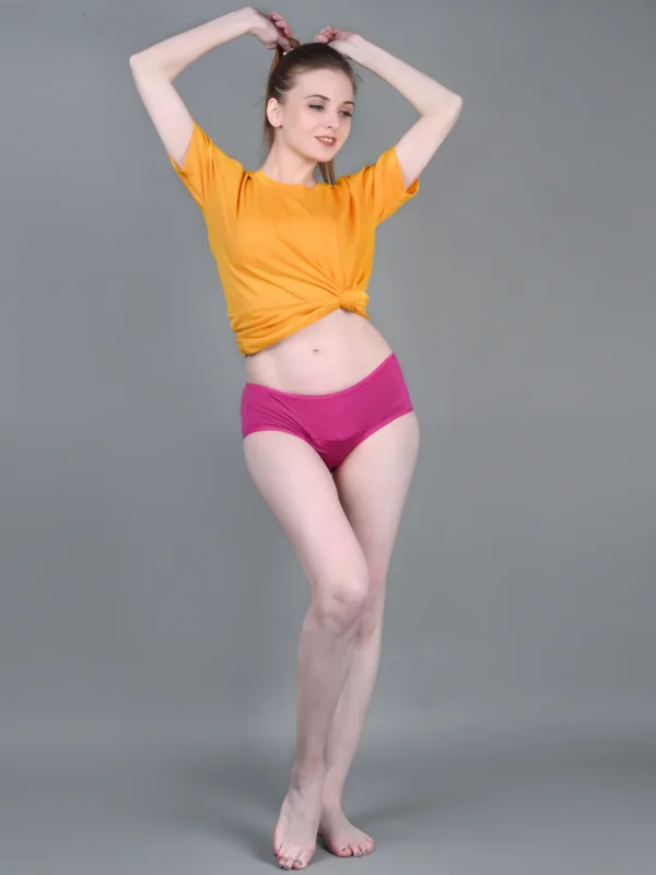 Leak Proof Bamboo Fabric Menstrual/Period Panty With Free Panty Liner - Image 6