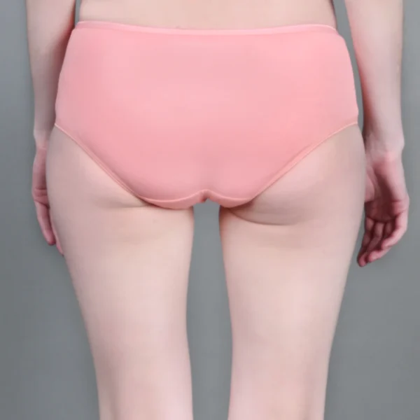 Bamboo Fabric Mid Rise Underwear Pack of 2 - Image 4