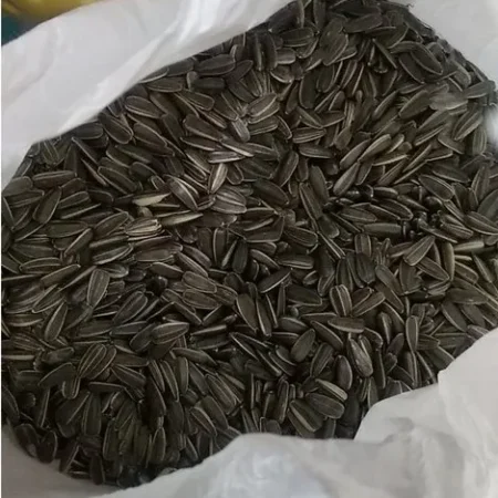 Black Sunflower Seeds