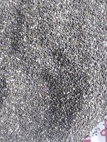 Chia Seeds