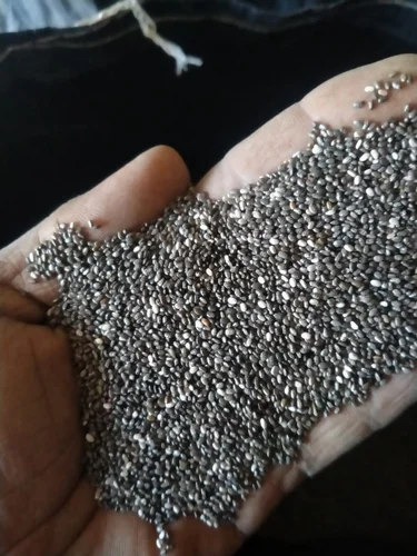 Chia Seeds - Image 2