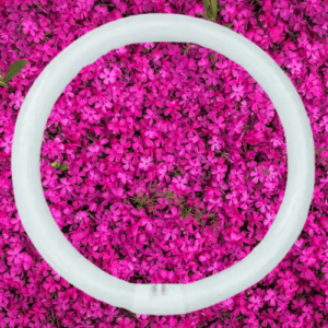 CIRCLE Syska Circular Fluorescent Tubes, 40WT