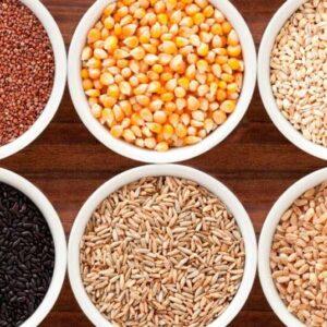 Green Veg Farmers Producer Company Limited