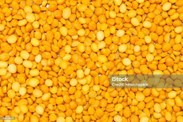 Seloo Vibhag Baliraja Producer Company Ltd. - Image 2