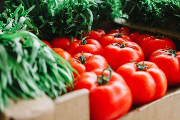 Agro Farmers Producer Company Limited