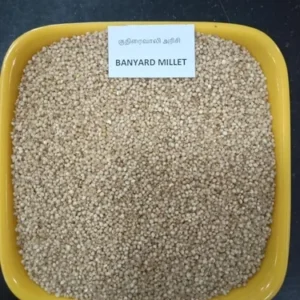 Barnyard Millet Gluten-Free