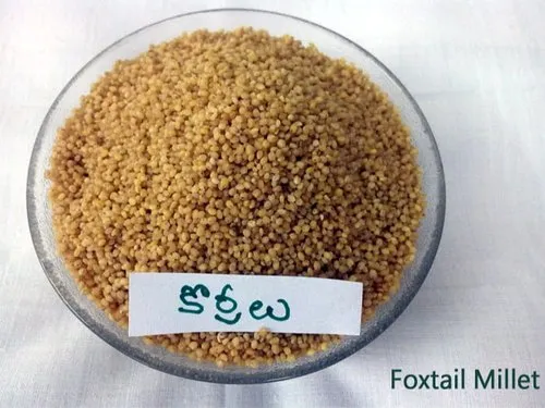 Parboiled Thinai Pulungal Foxtail