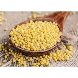 Organic Yellow Millet