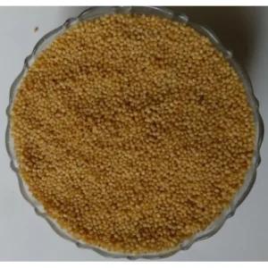 High-Protein Indian Navane Millet