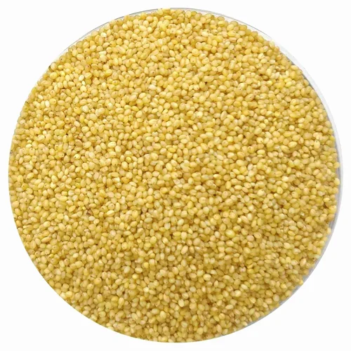 Yellow Foxtail Unpolished Millet