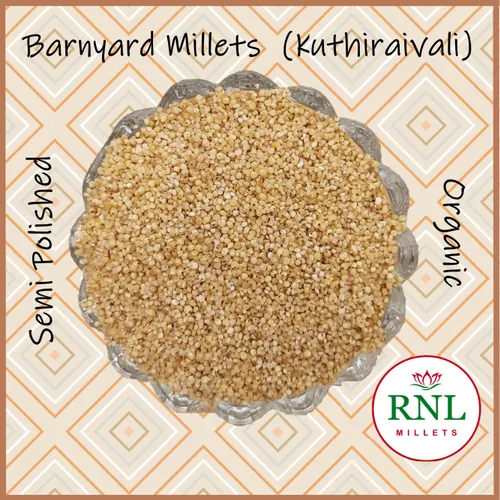Indian Barnyard Millet