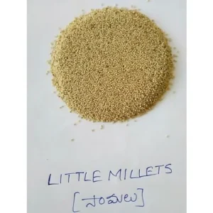 Little Millet Seed