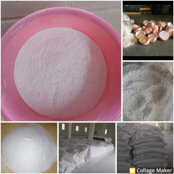 Eggshell Powder