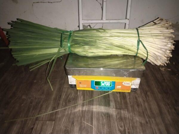 Lemongrass Stick