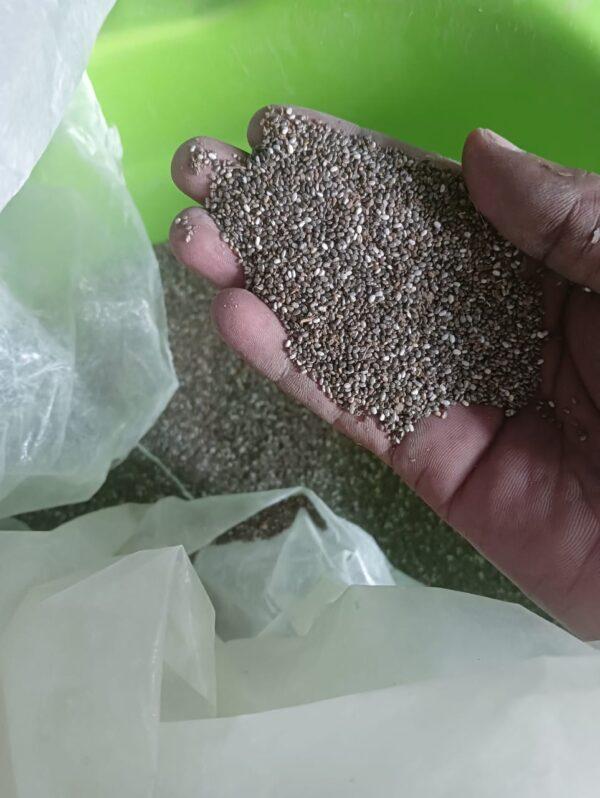 Chia Seeds
