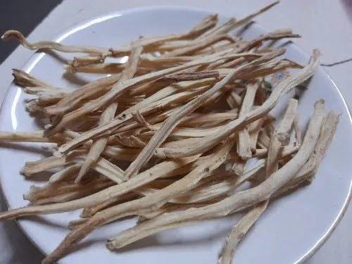 White Sataver Root Dry