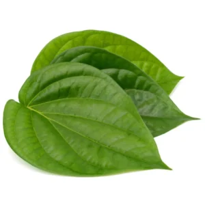 Green Kolkata betel leaves