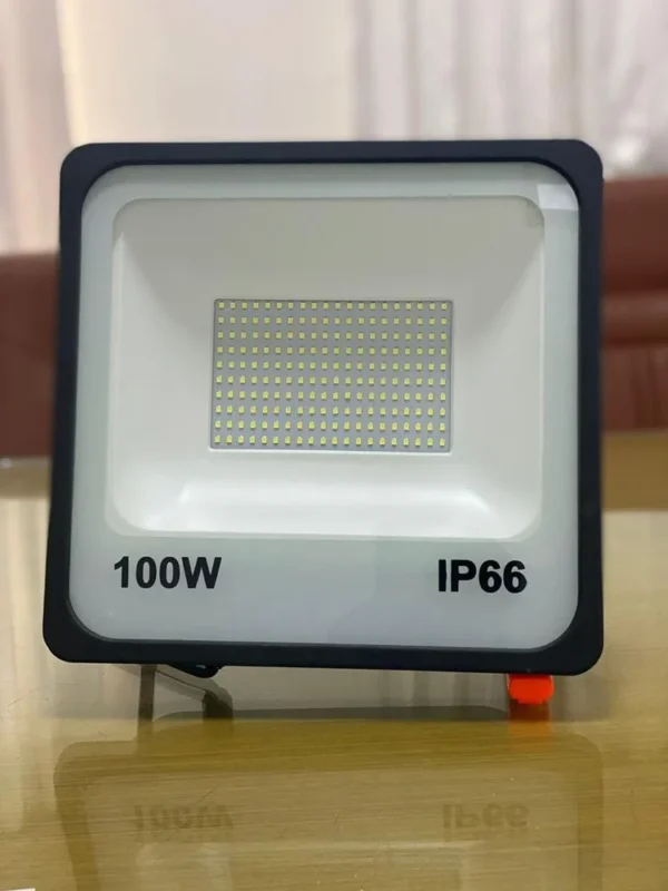 100W LED Floodlight GM Model